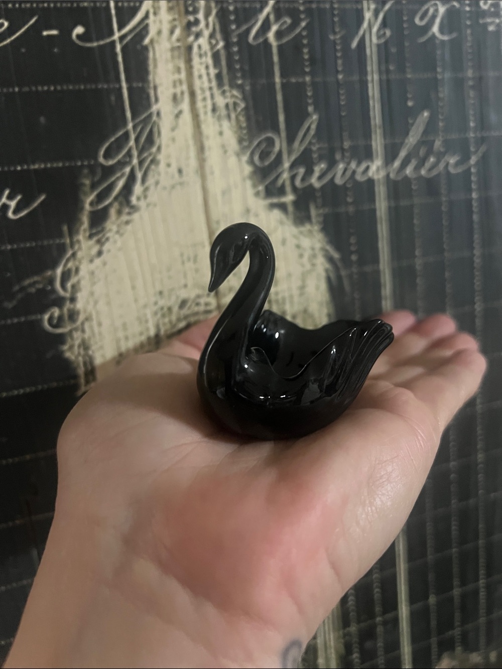 Black Lenox swan